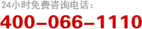 ʢ՟ᾀ400-066-1110