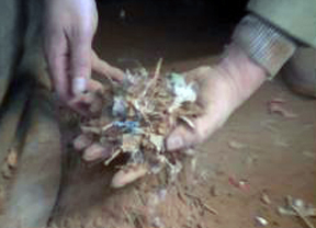 輕物質(zhì)分離器價(jià)格